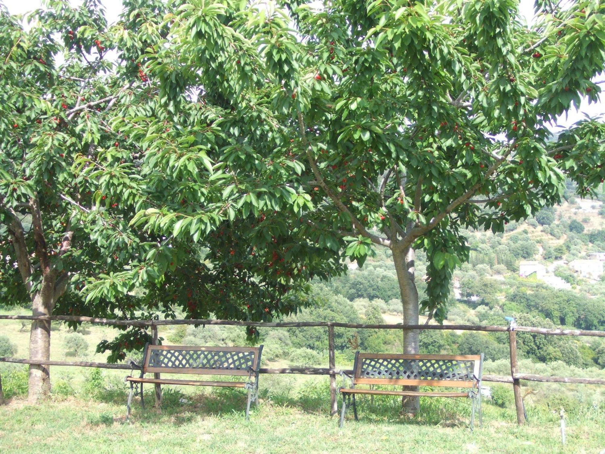 Bed & Breakfast Le Torrette 3*